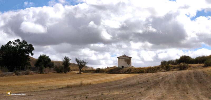 Santibañez-Zarzaguda. Burgos