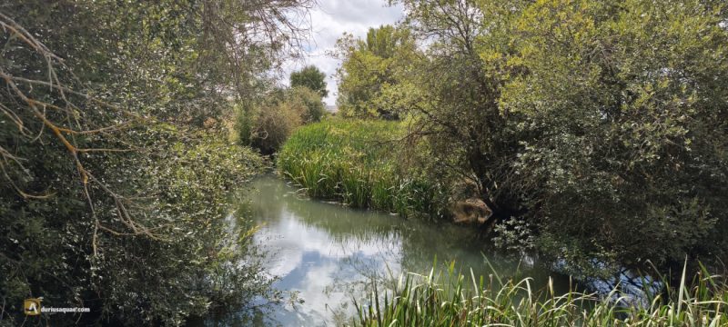 El río Urbel en Huérmeces