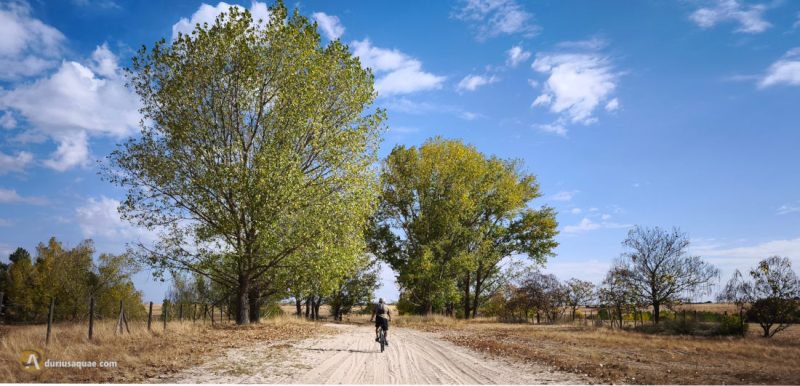 Paisaje en Martín Muñoz de las Posadas - Segovia