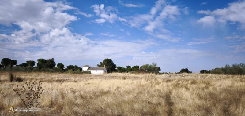 Paisajes de Segovia - Campiña y pinares
