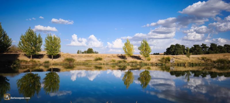 Martín Muñoz de las Posadas - Segovia - Castilla