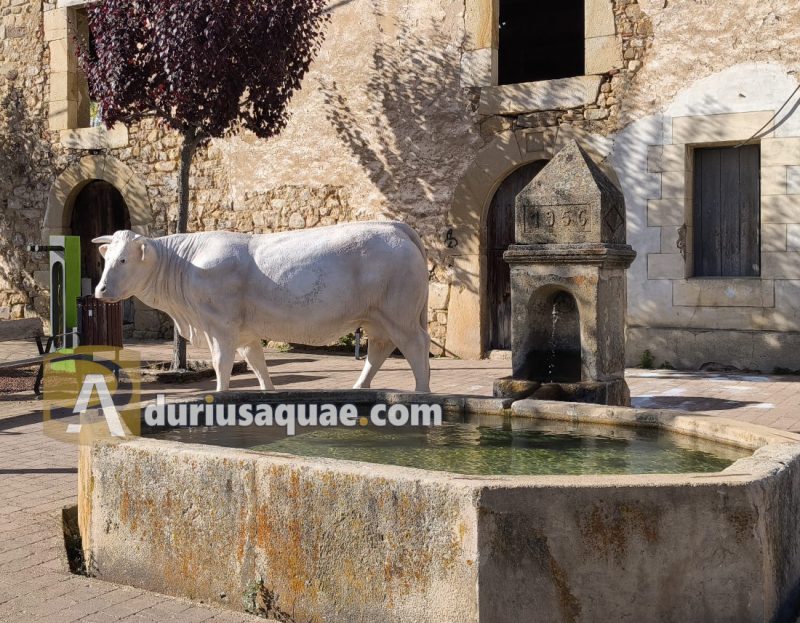 Valdeavellano del Tera - Soria