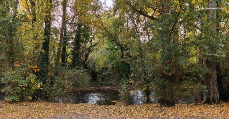 Burgos: El Arlanzón