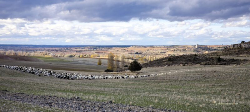 Paisaje desde Casanova, Burgos
