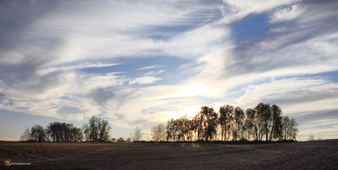 El Perdigón, Zamora