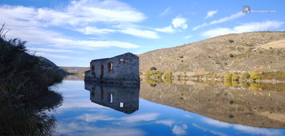 El Molino Nuevo o la Aceña del Sr. Rufino: Pereruela, Zamora