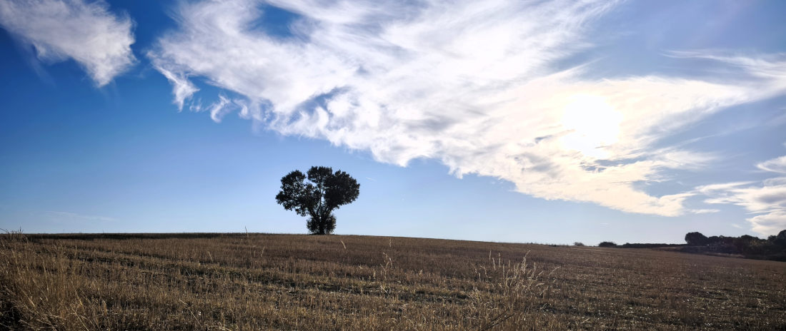 Las Enillas - Zamora - Castilla y León