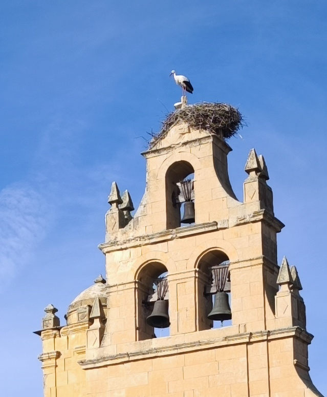 Morales del Vino - Zamora