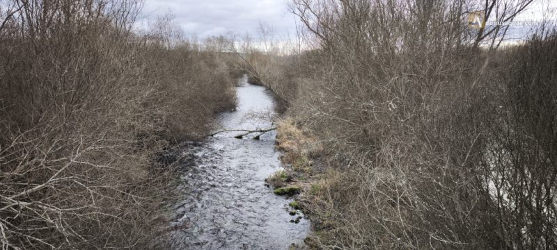 Fresno del Río - Palencia
