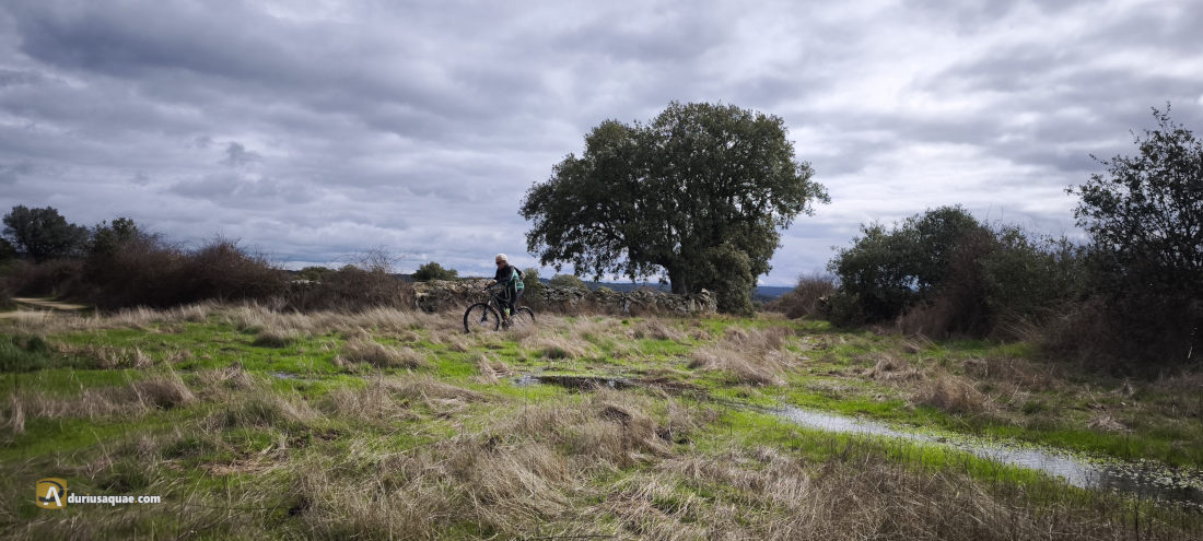 Paisaje sayagués - Carbellino, Zamora