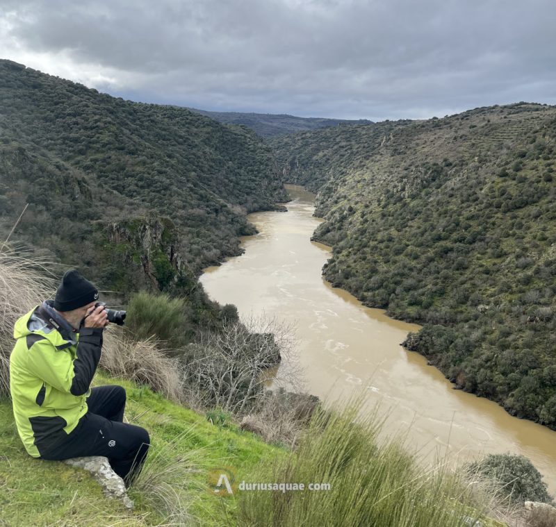 El Duero en Pereña de la Ribera