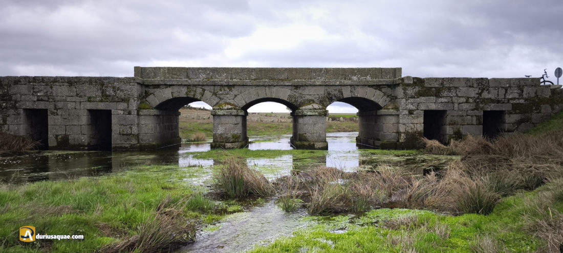Almeida de Sayago - Puente Nuevo - Zamora