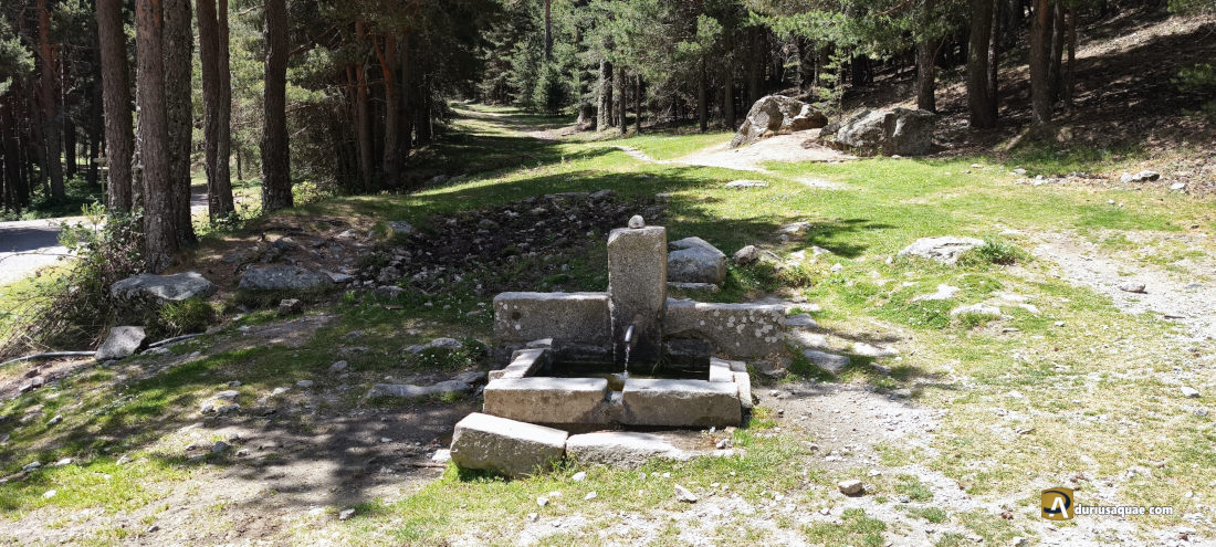 Fuente de la Reina. Junto al Puerto de la Fuenfría