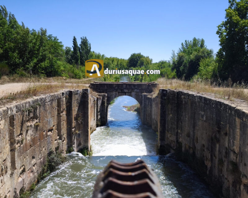 Olmos de Pisuerga, Canal de Castilla Palencia